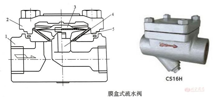 熱靜力型蒸汽疏水閥