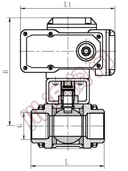 Q911內(nèi)螺紋電動(dòng)球閥 結(jié)構(gòu)圖