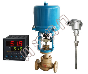 電動(dòng)溫度控制系統(tǒng) 產(chǎn)品圖片