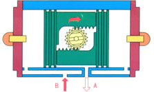 TH(QGSY)С͚ӈ(zh)ЙC(j)(gu)ԭ